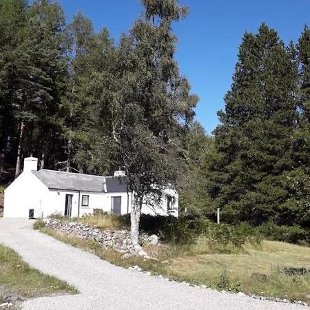 Torgoyle Cottage Inverness Dış mekan fotoğraf