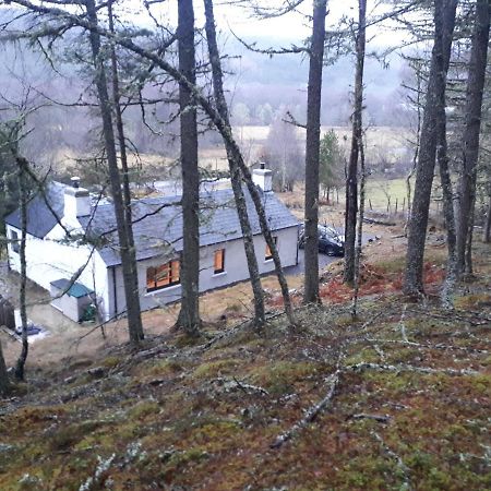 Torgoyle Cottage Inverness Dış mekan fotoğraf
